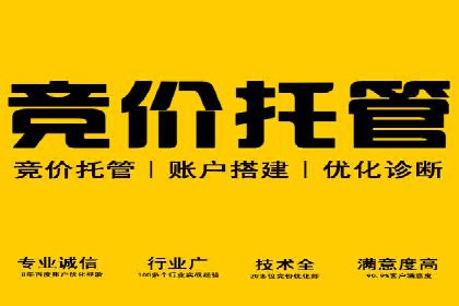搜索开户返点实战攻略：案例解析赚钱经验